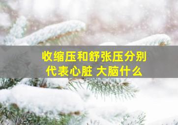 收缩压和舒张压分别代表心脏 大脑什么